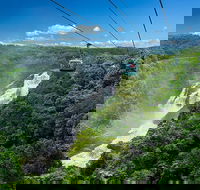 Skyrail Rainforest Cableway Day Trip from Port Douglas - Tourism Caloundra