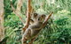 Full-Day Small-Group History And Heritage Tour Of Brisbane City - thumb 1