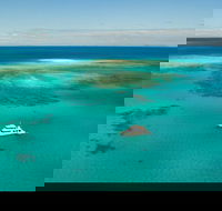 Great Barrier Reef Dive and Snorkel Cruise from Mission Beach - Tourism Caloundra