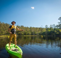 Walkabout Creek Adventures Stand Up Paddle Board Hire - Tourism Caloundra