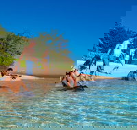 Half Day Low Isles Snorkelling Tour from Port Douglas - Tourism Caloundra