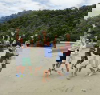 Private Daintree Wanderer Tour - Tourism Caloundra