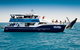 Hervey Bay Whale Watching Cruise - thumb 7