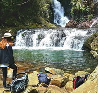Lamington Day Tour - Tourism Caloundra