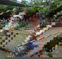 Hartley's Crocodile Adventures Day Trip from Cairns - Tourism Caloundra