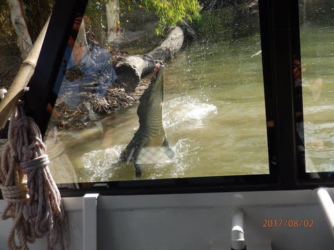 Hartley's Crocodile Adventures Day Trip From Cairns - Tourism Caloundra 5