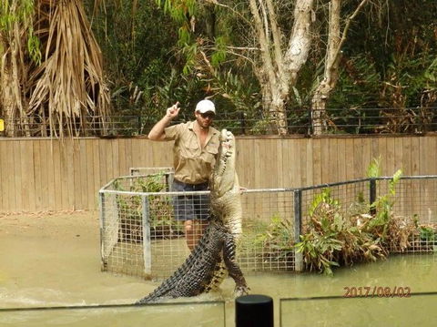 Hartley's Crocodile Adventures Day Trip From Cairns - Tourism Caloundra 2