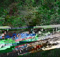 Daintree River Cruise - Tourism Caloundra
