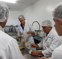 Camel Farm Lab Experience - Tourism Caloundra