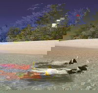 Wavedancer Low Isles Great Barrier Reef Sailing Cruise from Palm Cove - Tourism Caloundra