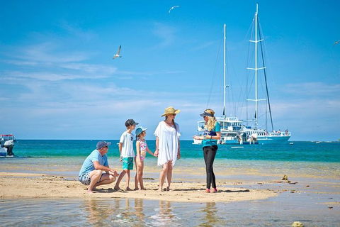 Wavedancer Low Isles Great Barrier Reef Sailing Cruise From Palm Cove - Tourism Caloundra 3