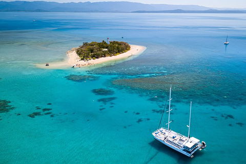 Wavedancer Low Isles Great Barrier Reef Sailing Cruise From Palm Cove - Tourism Caloundra 7