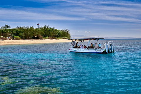 Wavedancer Low Isles Great Barrier Reef Sailing Cruise From Palm Cove - Tourism Caloundra 8