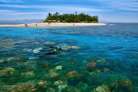 Wavedancer Low Isles Great Barrier Reef Sailing Cruise From Palm Cove - Tourism Caloundra 9