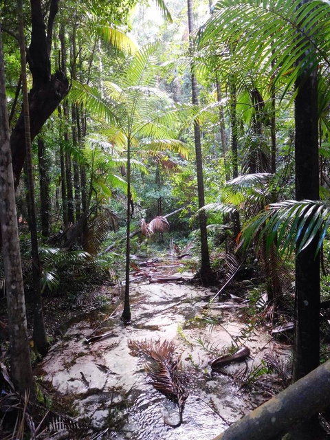 2-Day Fraser Island 4WD Tour From Brisbane Or The Gold Coast - Tourism Caloundra 8