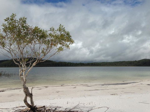 2-Day Fraser Island 4WD Tour From Brisbane Or The Gold Coast - Tourism Caloundra 7