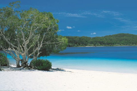 2-Day Fraser Island 4WD Tour From Brisbane Or The Gold Coast - Tourism Caloundra 0