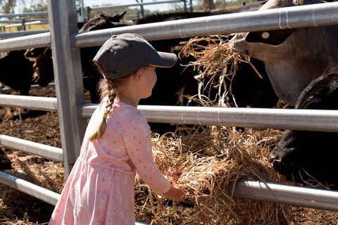 Mackay Farm Food And Flavours Tour - Tourism Caloundra 0