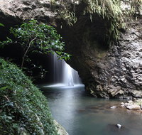 Small-Group 4WD Springbrook National Park Day Trip from Brisbane - Tourism Caloundra
