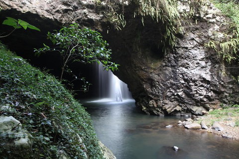 Small-Group 4WD Springbrook National Park Day Trip From Brisbane - Tourism Caloundra 0