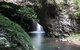 Small-Group 4WD Springbrook National Park Day Trip From Brisbane - thumb 2