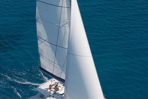 Afternoon Low Isles Snorkeling And Sailing Cruise From Port Douglas - Tourism Caloundra 1