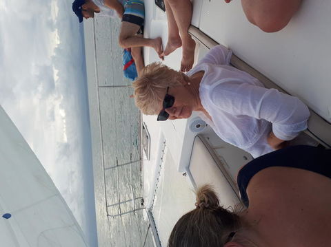 Afternoon Low Isles Snorkeling And Sailing Cruise From Port Douglas - Tourism Caloundra 5