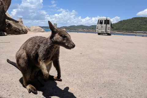 Magnetic Island Tour: Maggie Comprehensive - Tourism Caloundra 0