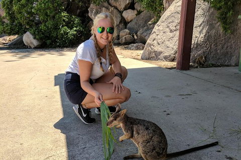 Magnetic Island Tour: Maggie Comprehensive - Tourism Caloundra 9