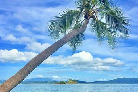 Dunk Island Round-Trip Water Taxi Transfer From Mission Beach - Tourism Caloundra 6