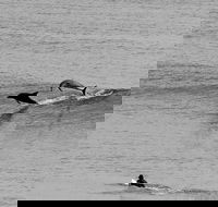 Overnight Tweed Coast Camping and Surfing Getaway From The Gold Coast - Tourism Caloundra