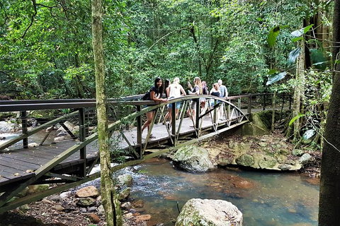 Springbrook Half Day Tour - Tourism Caloundra 1