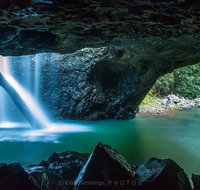 Springbrook Half Day Tour - Tourism Caloundra