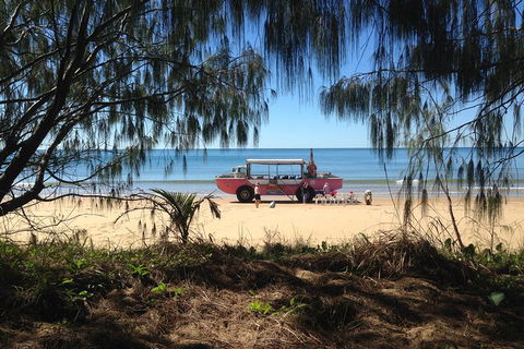 1770 Coastline Tour By LARC Amphibious Vehicle Including Picnic Lunch - Tourism Caloundra 0