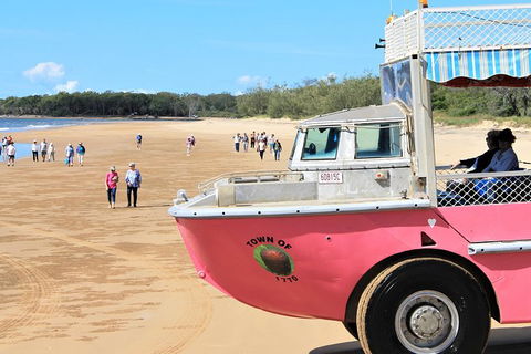 1770 Coastline Tour By LARC Amphibious Vehicle Including Picnic Lunch - Tourism Caloundra 8