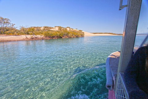 1770 Coastline Tour By LARC Amphibious Vehicle Including Picnic Lunch - Tourism Caloundra 12