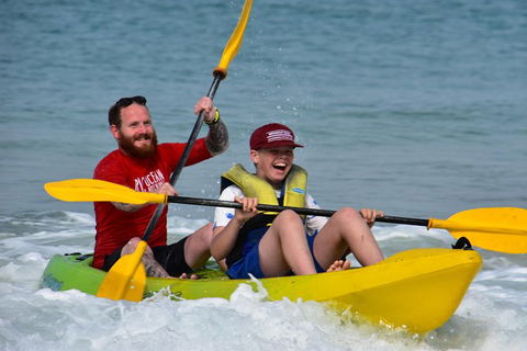 Half-Day Kayak With Dolphins And 4WD Beach Drive From Rainbow Beach - Tourism Caloundra 8