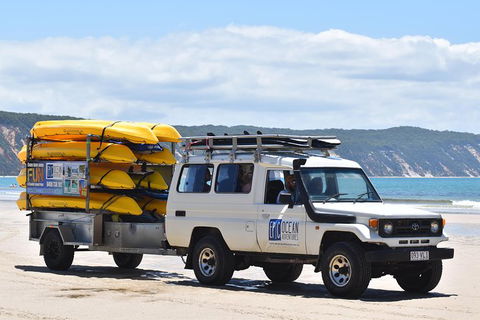 Half-Day Kayak With Dolphins And 4WD Beach Drive From Rainbow Beach - Tourism Caloundra 13