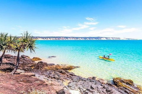 Half-Day Kayak With Dolphins And 4WD Beach Drive From Rainbow Beach - Tourism Caloundra 5