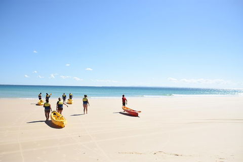 Half-Day Kayak With Dolphins And 4WD Beach Drive From Rainbow Beach - Tourism Caloundra 10