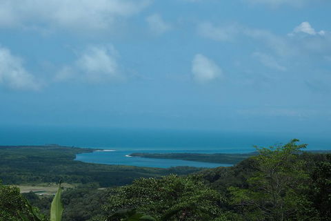Cape Tribulation, Daintree Rainforest And Wildlife Tour - Tourism Caloundra 7
