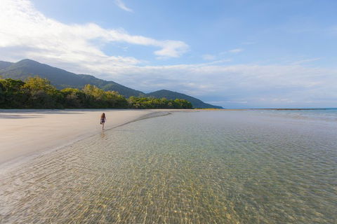 Cape Tribulation, Daintree Rainforest And Wildlife Tour - Tourism Caloundra 6