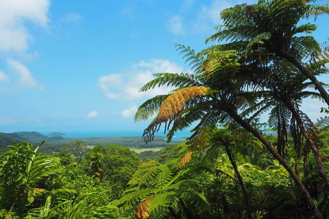 Cape Tribulation, Daintree Rainforest And Wildlife Tour - Tourism Caloundra 5