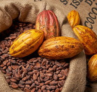 Charley's Chocolate Factory Tour Mission Beach Including Aussie Farm Lunch - Tourism Caloundra