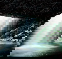 Natural Bridge Glow Worm Night Tour from Gold Coast - Tourism Caloundra