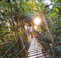 O'Reilly's Lamington National Park and Treetop Canopy Tour - Tourism Caloundra