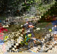 Electric Mountain Bike Rainforest Eco Tour - Tourism Caloundra