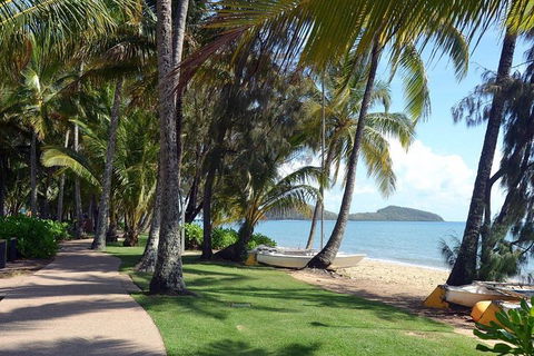 Palm Cove, Clifton Beach, Kewarra Beach To/from Cairns - Tourism Caloundra 0