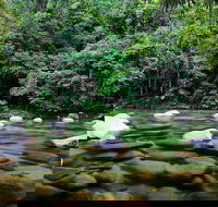 Mossman Silky Oaks to/from Cairns - Tourism Caloundra