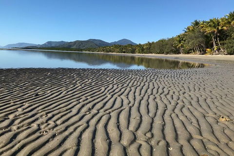 Guided Eco Segway Tours Four Mile Beach Port Douglas - Tourism Caloundra 4